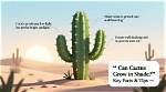 Can Cactus Survive in Shade?