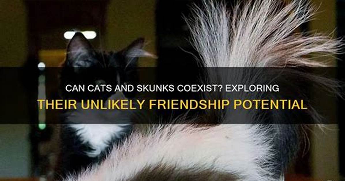 Can Cats and Skunks Be Friends?