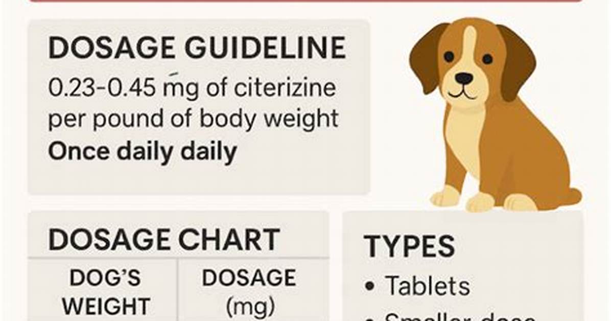 Can Cetirizine Be Given to Dogs?