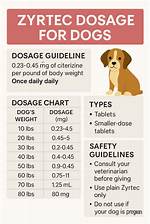 Can Cetirizine Be Given to Dogs?