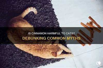 Can Cinnamon Hurt a Cat?