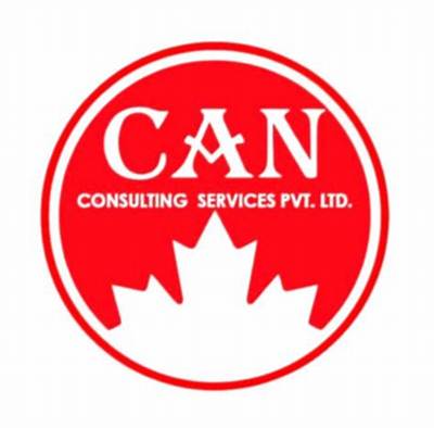 Can Consulting Go Online?