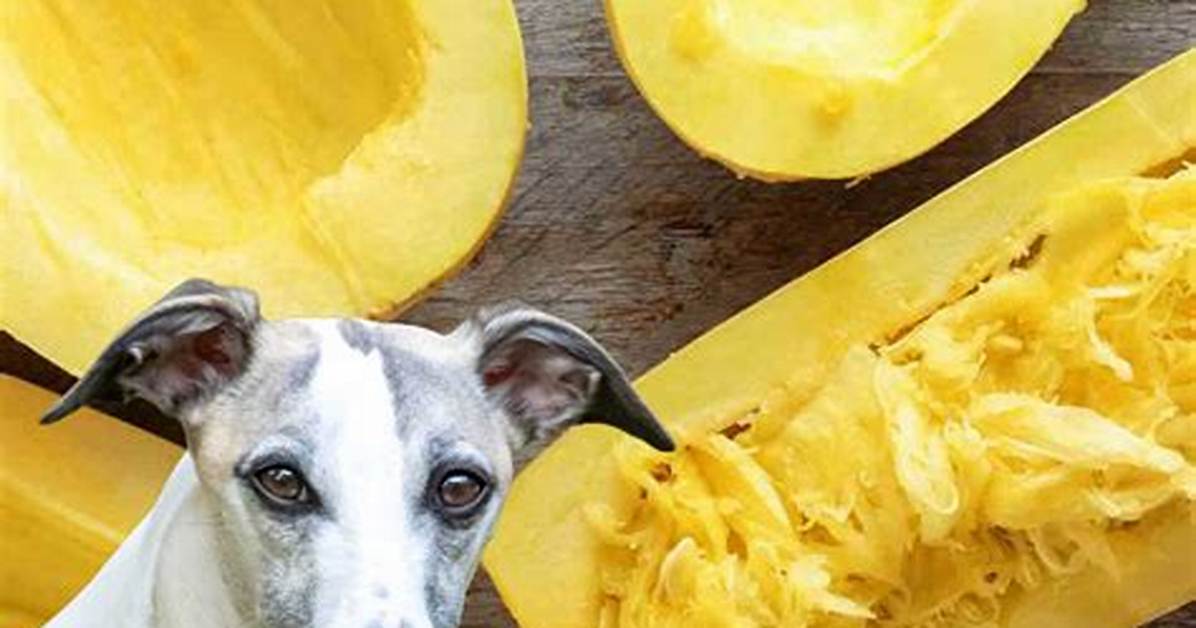 Can Dogs Eat Balunbalunan?