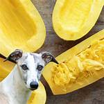 Can Dogs Eat Balunbalunan?