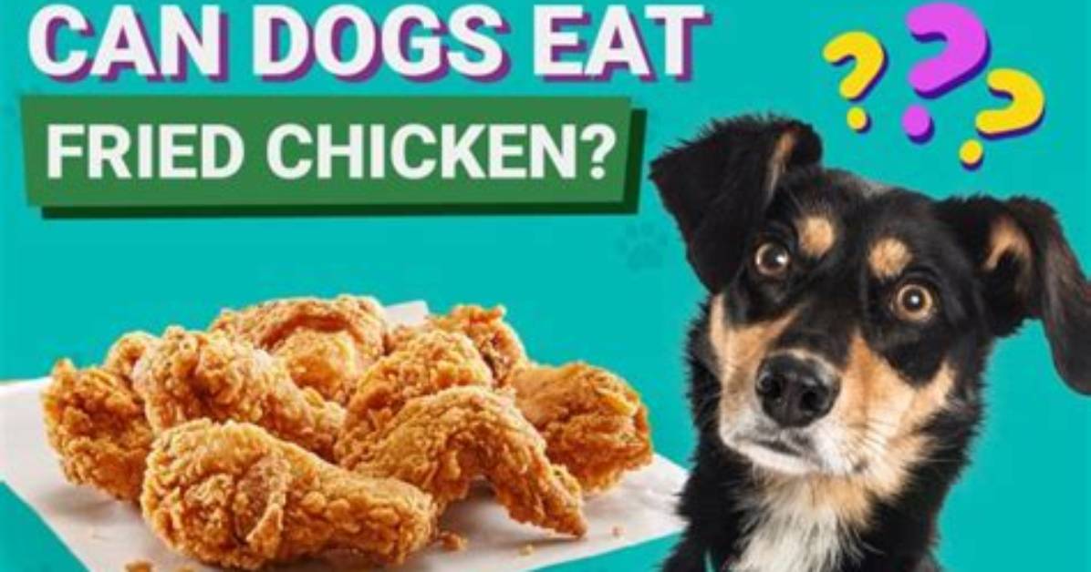 Can Dogs Eat Fried Chicken?