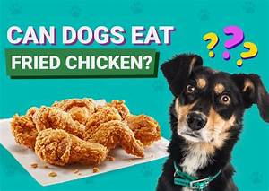 Can Dogs Eat Fried Chicken?