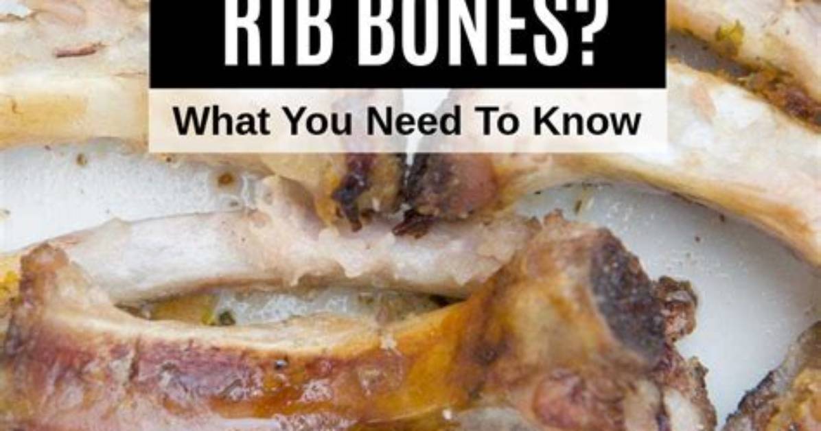 Can Dogs Eat Ribs?