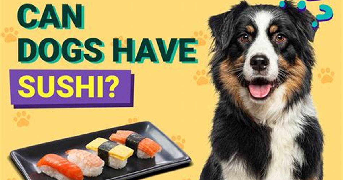 Can Dogs Eat Sushi?