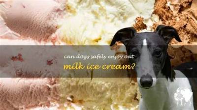 Can Dogs Have Milk or Ice Cream?
