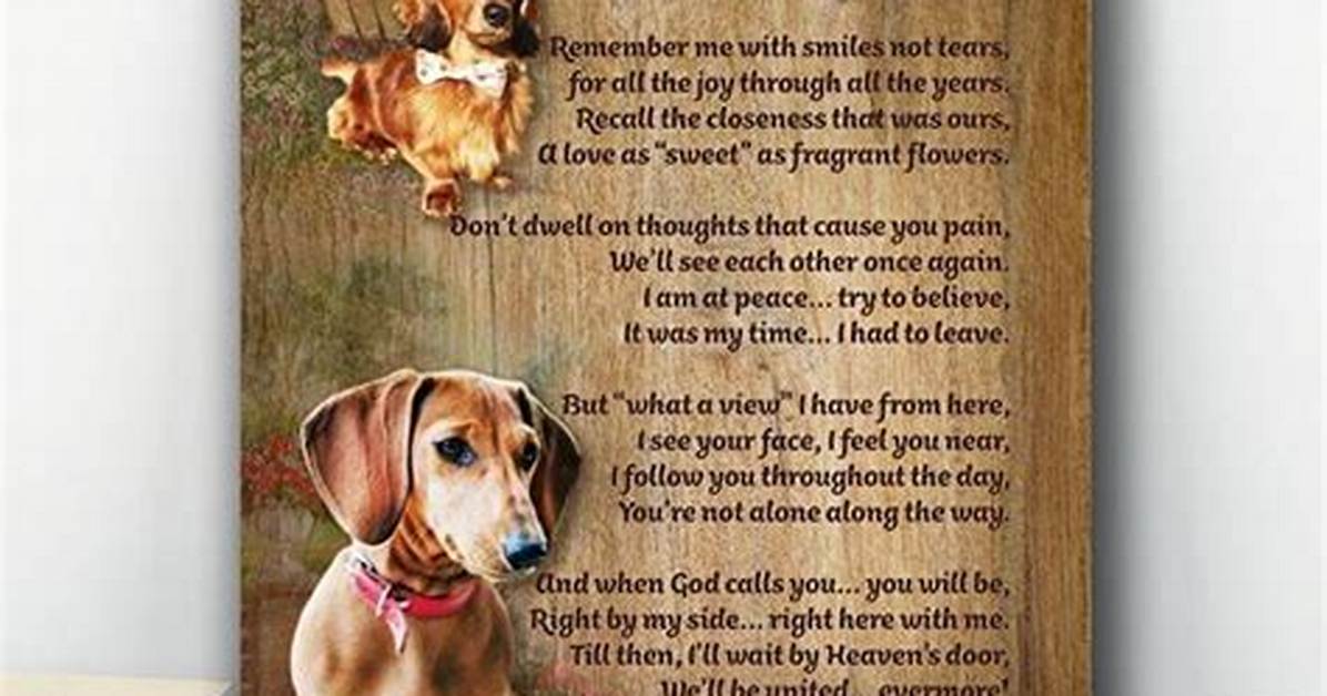 Can Dogs Remember You After 5 Year's?