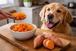 Can Dogs Sweet Potatoes?