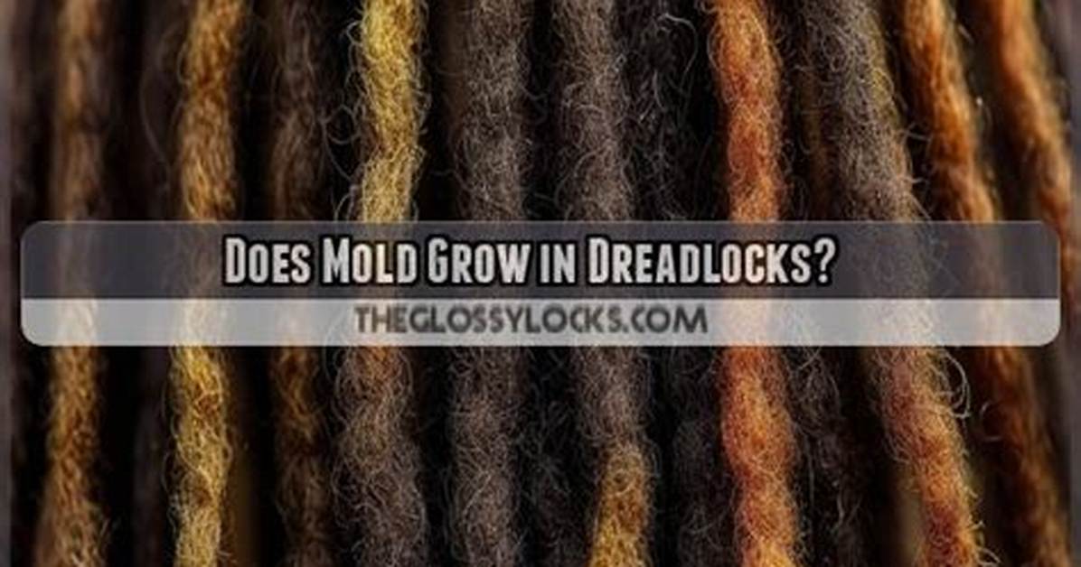 Can Dreadlocks Grow Mold?