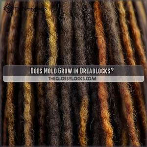 Can Dreadlocks Grow Mold?