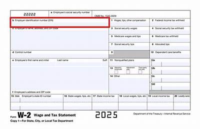 Can Employers See Your W-2?