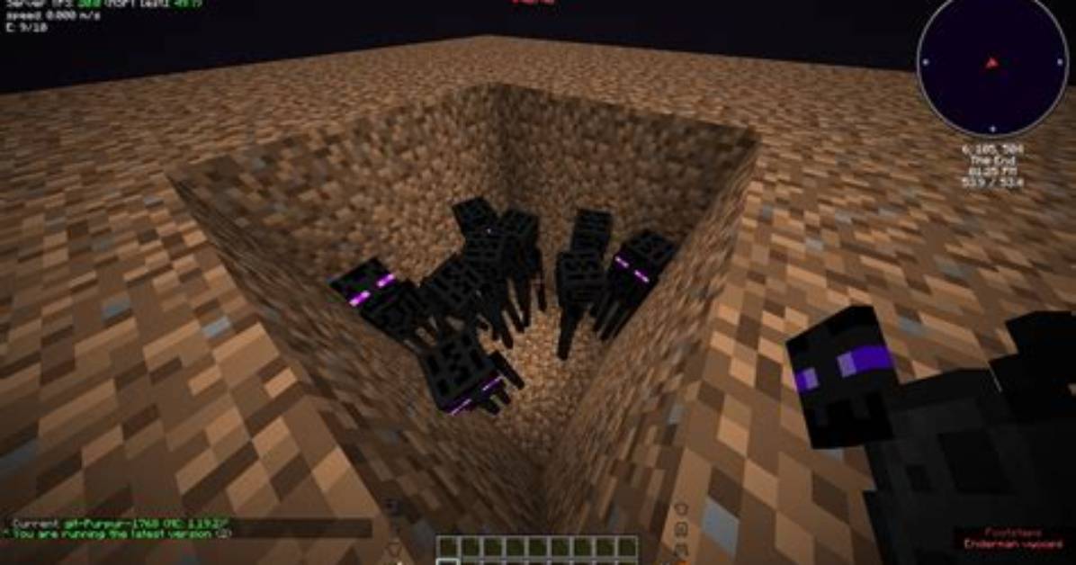 Can Enderman Pick up Podzol?