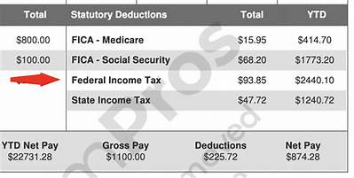 Can Federal Taxes Be Taken for State Debt?