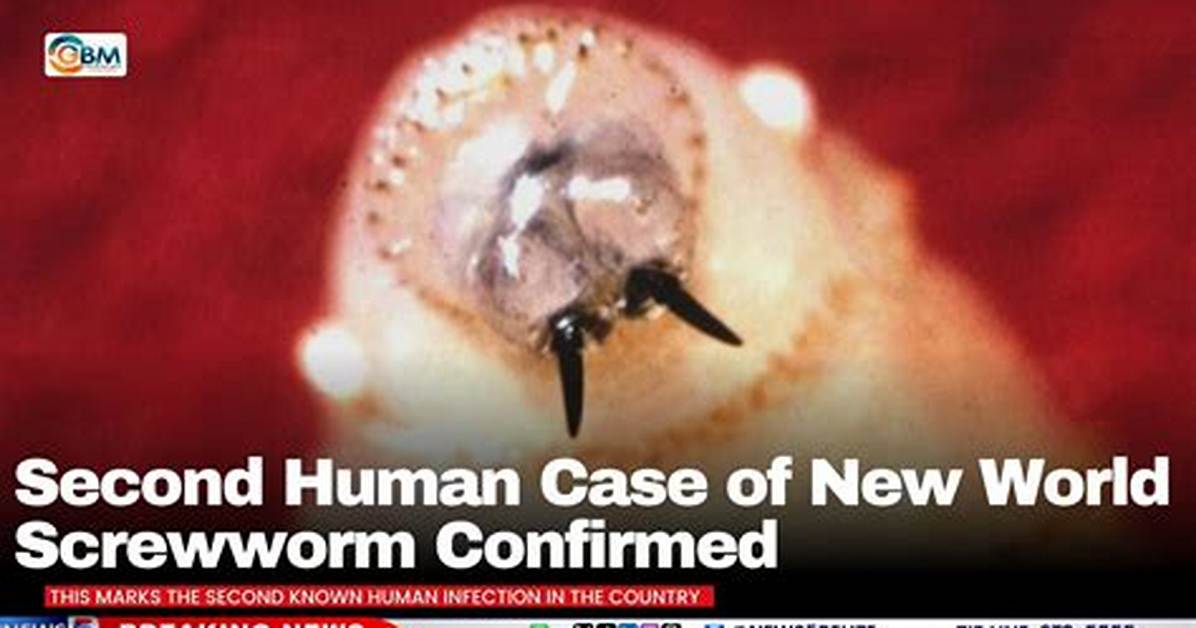 Can Humans Get Screwworm?