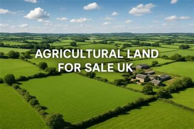 Can I Buy Agricultural Land After Selling Residential Property?