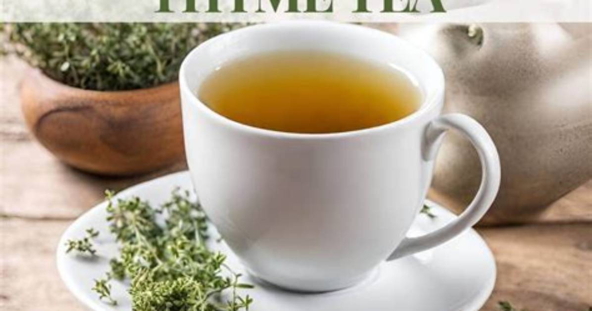 Can I Drink Thyme Tea Daily?