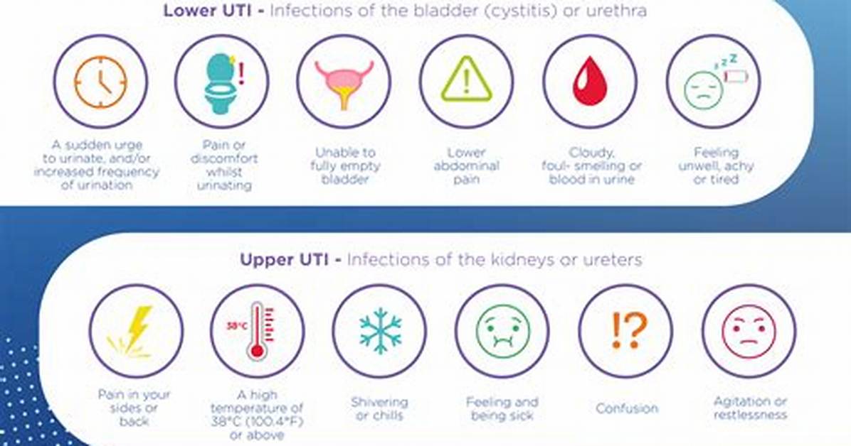 Can I Flush out a Uti with Water?