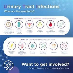 Can I Flush out a Uti with Water?