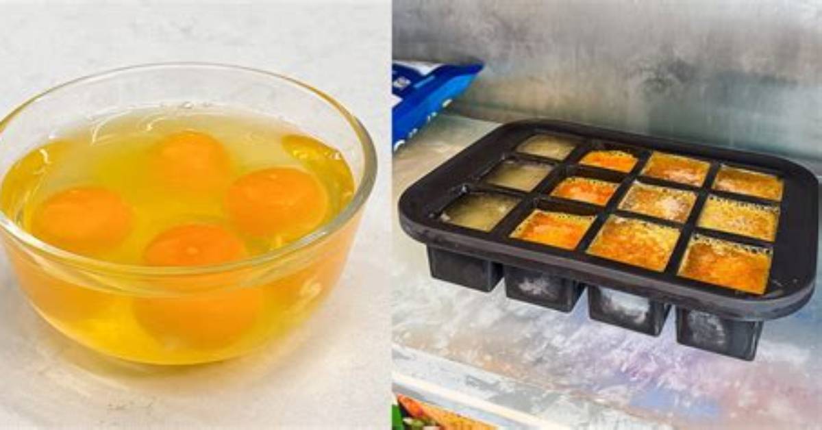 Can I Freeze Just Egg After Cooking?