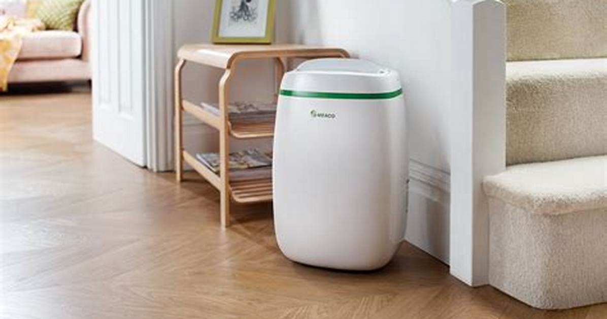 Can I Lay a Dehumidifier