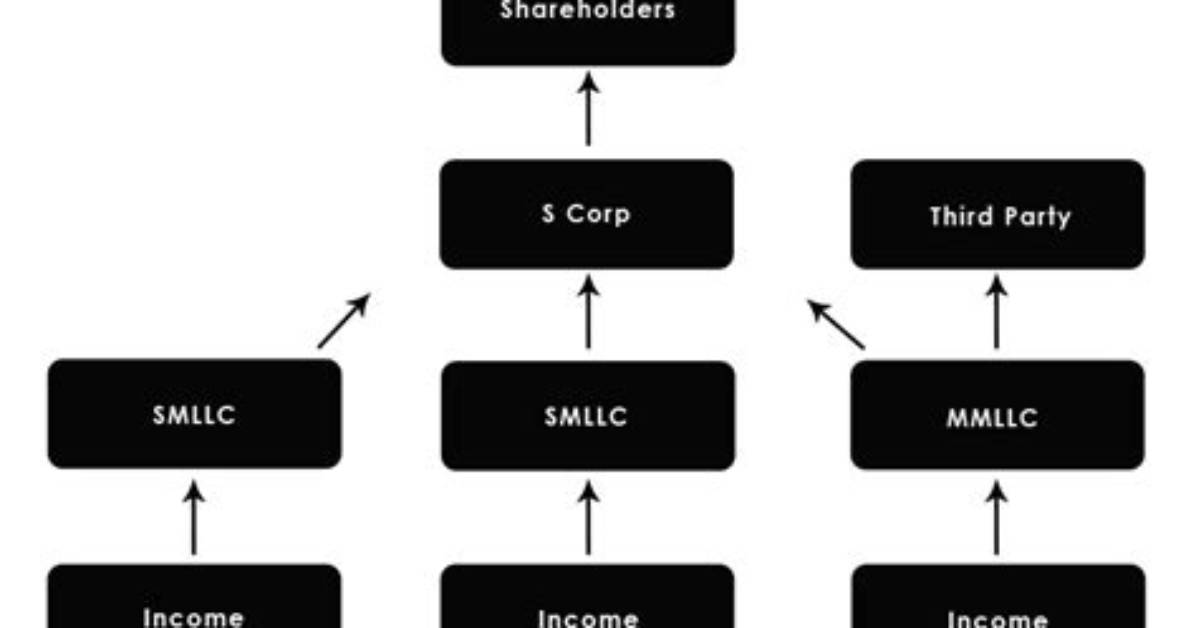 Can I Own Multiple S Corps?
