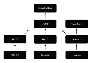 Can I Own Multiple S Corps?