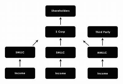 Can I Own Multiple S Corps?