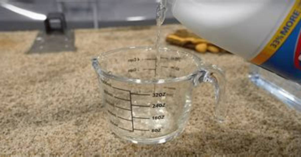 Can I Put Bleach in My Rv Toilet?