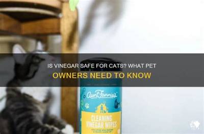 Can I Put Vinegar in My Cats Water?