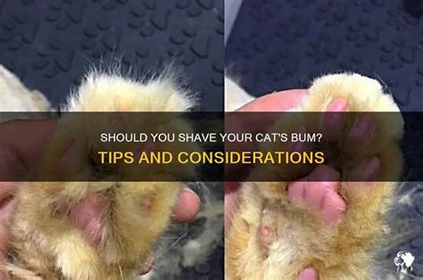 Can I Shave My Cats Bum?