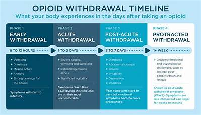 Can I Take an Early Withdrawal from My Ira?