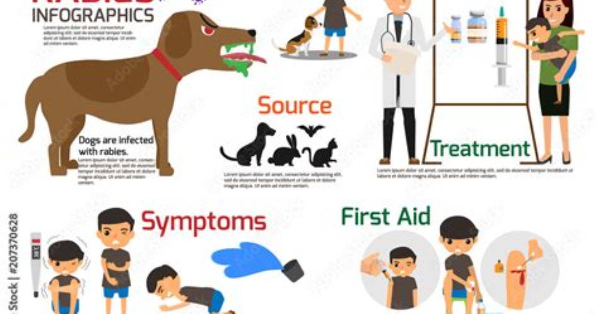 Can I Take Rabies Vaccine After 4 Days?