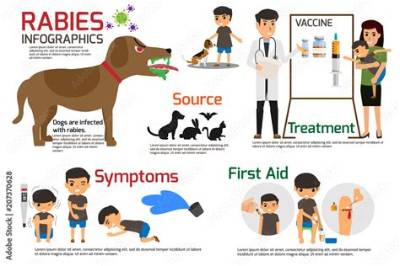 Can I Take Rabies Vaccine After 4 Days?