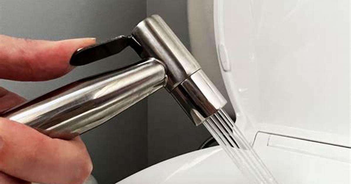 Can I Use Shower as Bidet?