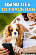 Can I Use Tile to Track My Bike?