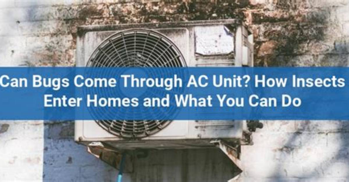 Can Insects Come Through Ac?