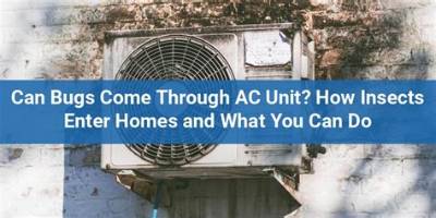 Can Insects Come Through Ac?