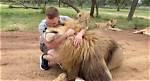 Can Lions Be Friendly?
