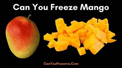 Can Mango Be Frozen?
