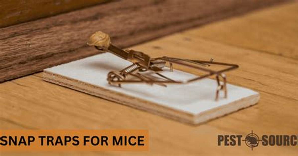 Can Mice Escape Snap Traps?