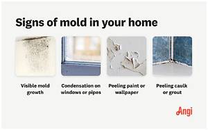 Can Mold in My House Make Me Sick?