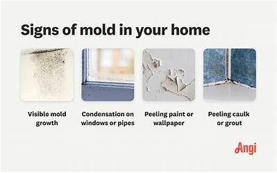 Can Mold in My House Make Me Sick?