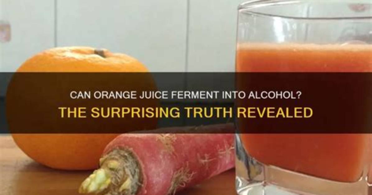 Can Orange Juice Turn to Alcohol?