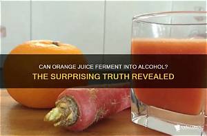 Can Orange Juice Turn to Alcohol?