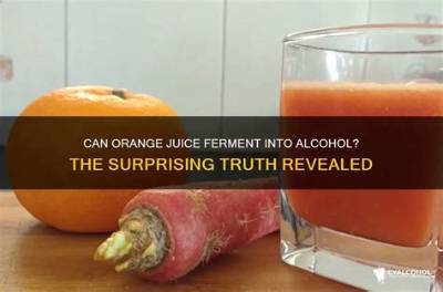 Can Orange Juice Turn to Alcohol?