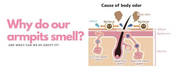 Can Others Smell My Body Odor?