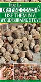 Can Pine Cones Be Burned in Wood Stoves?